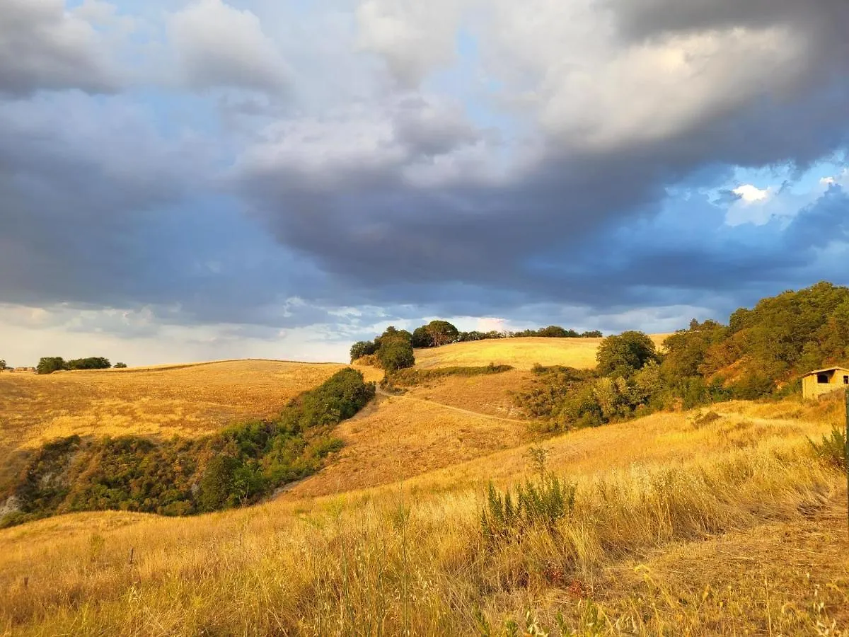 Farm stay Agriturismo Vergelle Villa San Giovanni d'Asso Italy